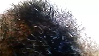 وہ فیلمسکسی روسی ایک vibrator کے ساتھ اس clit کے مشت زنی اور ایک مرگا کے ساتھ اس کے گدا fucks.